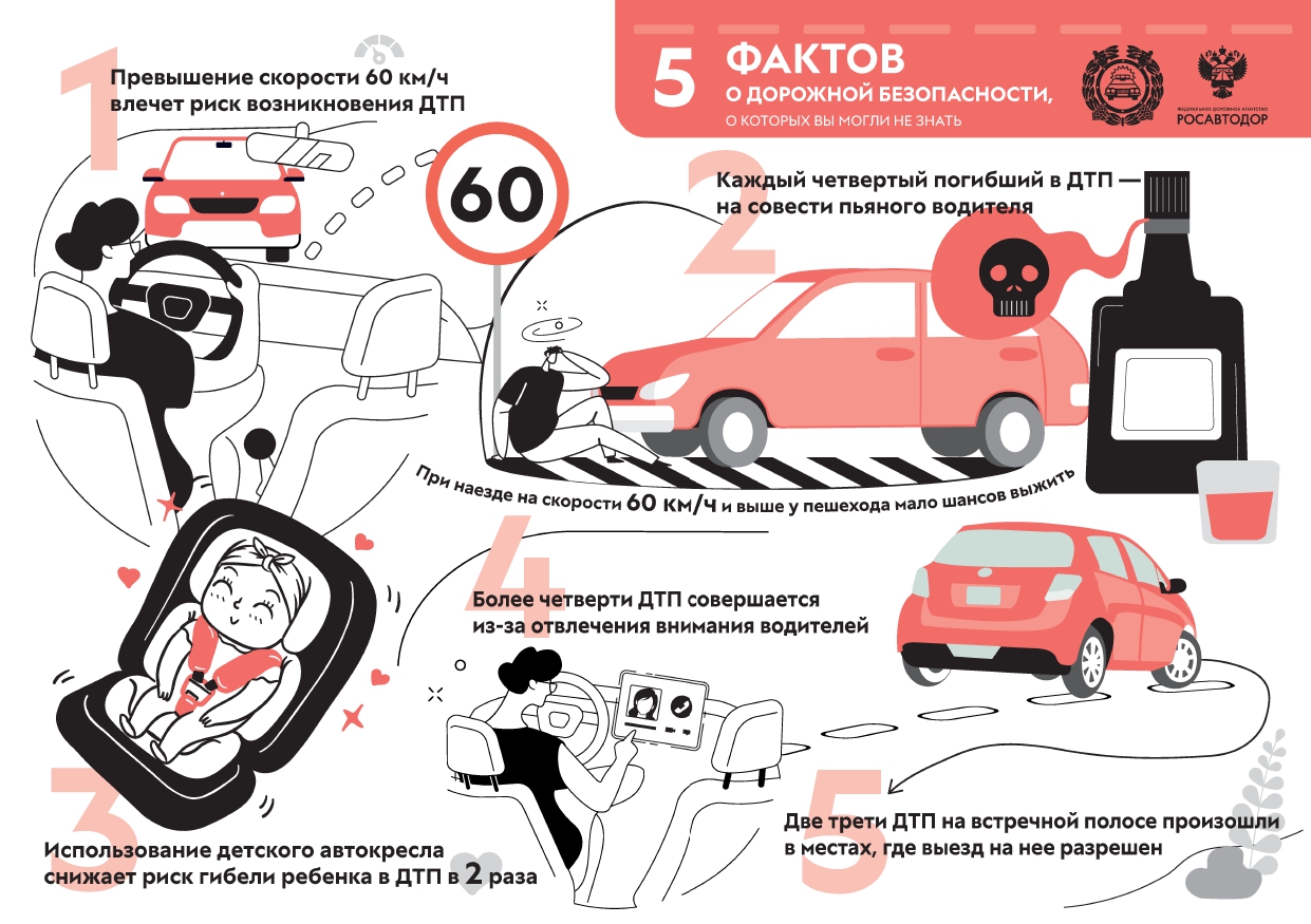 5 фактов о дорожной безопасности.