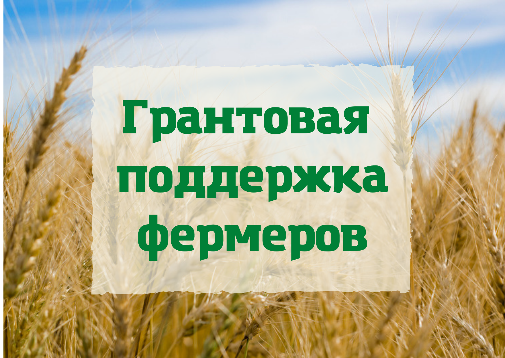 Конкурсный отбор граждан и крестьянских (фермерских) хозяйств или индивидуальных предпринимателей для предоставления грантов «Агростартап».