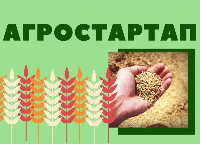 Конкурсный отбор. Конкурсный отбор.